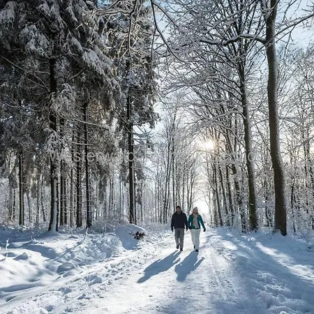 Holiday home Casita - Sterneferienhaus Mit Garten, Sauna Und Wallbox Kirburg